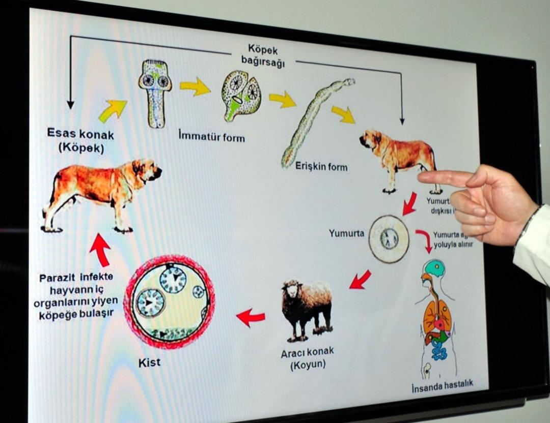KURBANLIKLAR-IMIN-KIST-UYARISI-COPE-AATI_749506_221206