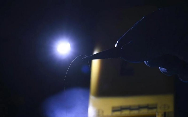 Gizli Başkanlık Ofisi Kuruldu, İlk Dosyalar Açıklandı